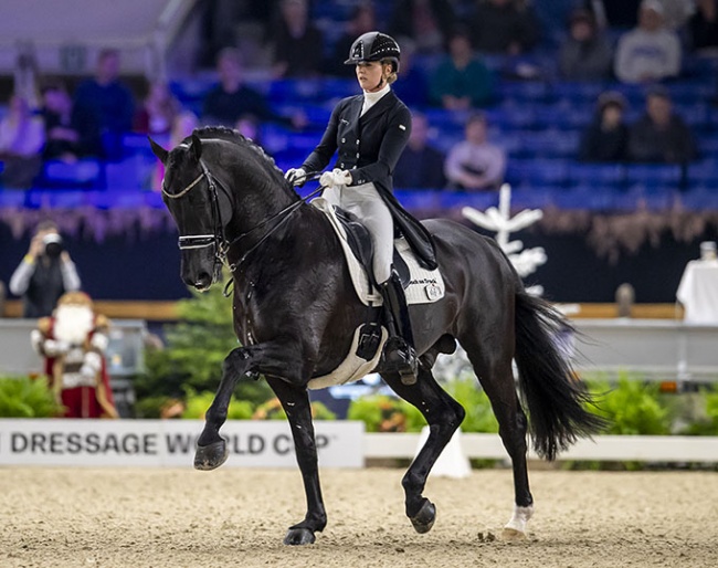 The Grand Prix stallion Desperado is one of the most talented Dutch dressage stallions at this moment! The dam of his daughter Naberlina passed the mare test with several 8s and is sired by the valuable breeding stallion San Remo.