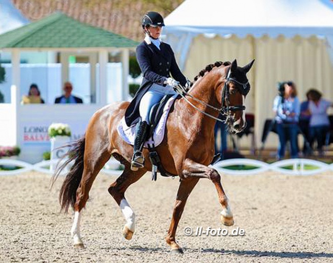 Joana Peterka and Davidoff ter Kwincke in the Piaff Forderpreis qualifier at the 2020 German Dressage Championships in Balve :: Photo © LL-foto