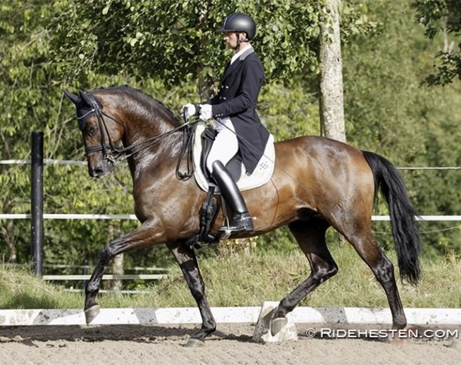 Kenneth Damgaard and Placido Domingo in 2020 :: Photo © Ridehesten