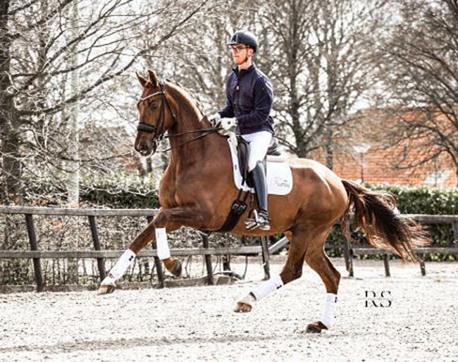 Marten Luiten on Anne-Mette Strandby's Janus G.I.H. :: Photo © Rianne Schaper Fotografie