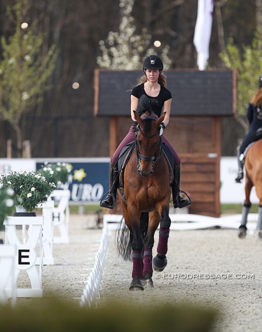 Ring familiarisation in the main arena, which is as beautiful as a competition arena at the European Championships. The organizers of the CDI Opglabbeek are pulling out all the stops to make this show a return event on the calendar :: Photo © Astrid Appels