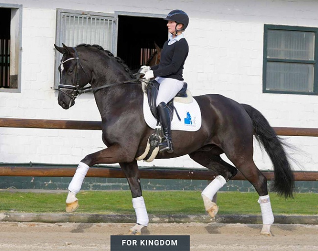 For Kingdom (by For Romance x de Niro x Argentinus)