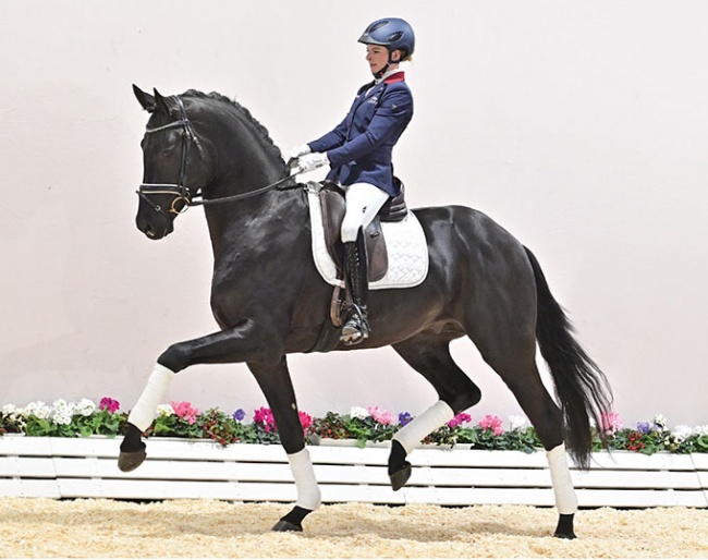 Splendid (by San Amour x Dream Boy) :: Photo © Feldhaus