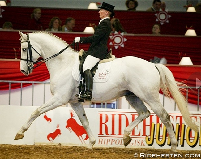 Margit Ørum and Kermo's White Talisman at the 2005 Danish Warmblood Stallion Licensing in Herning :: Photo © Ridehesten