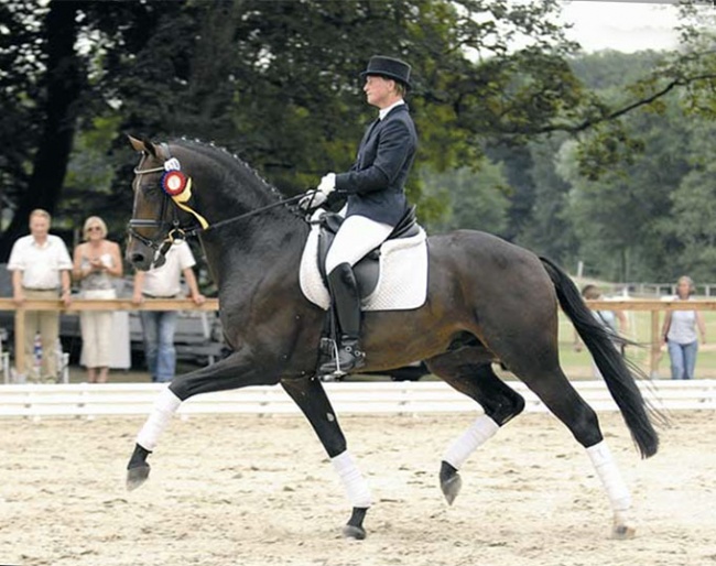 Anja Engelbart and Daddy Cool in 2006 :: Photo © Schockemöhle