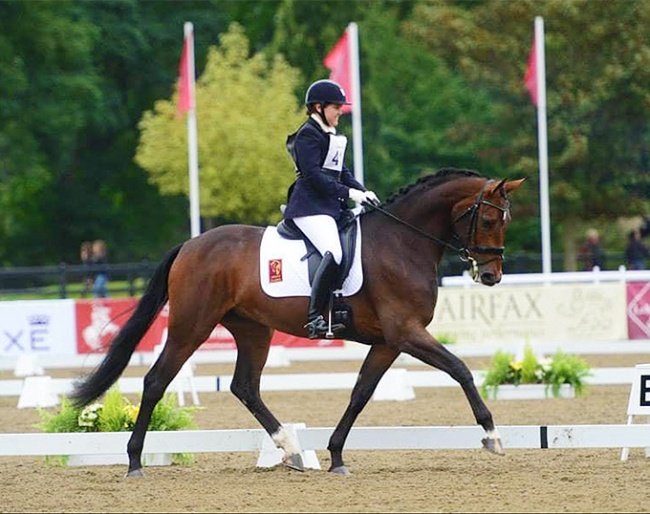 Emma Blundell on a 4-year old Mount St. John Freestyle in 2013