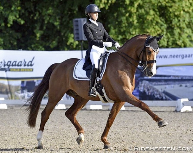 Patricia Hvidt and Lepas Armani :: Photo © Ridehesten