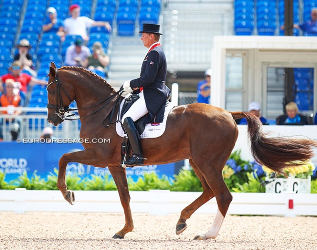 Emile Faurie and Theodora Livanos' Dono di Maggio at the 2018 World Equestrian Games in Tryon :: Photo © Astrid Appels