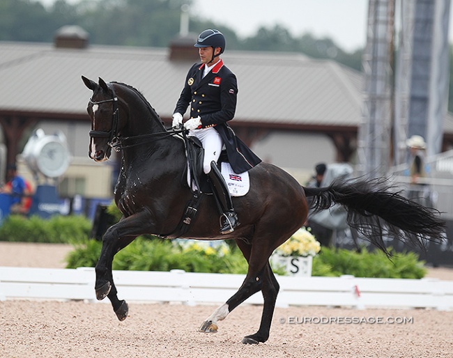 Spencer Wilton and Super Nova at the 2018 World Equestrian Games in Tryon :: Photo © Astrid Appels
