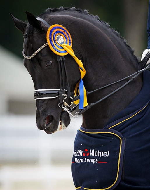 The beautiful Compiegne ribbon and winner's cooler sponsored by Crédit Mutuel Nord Europe :: Photo © Astrid Appels