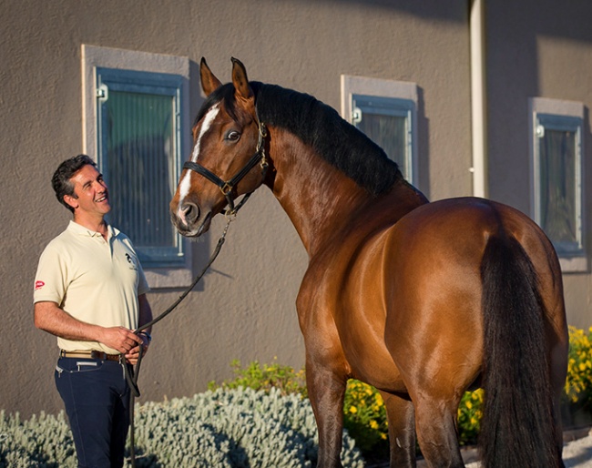 Daniel Pinto and Santurion de Massa at home in Portugal