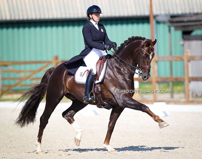 Ellen Birgitte Farbrot on Red Rebel at the 2021 CDI Grote Brogel :: Photo © Astrid Appels