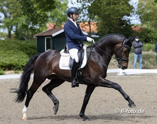 Manuel Dominguez Bernal and Escamillo at the 2021 Haftenkamp BuCha qualifier :: Photo © LL-foto