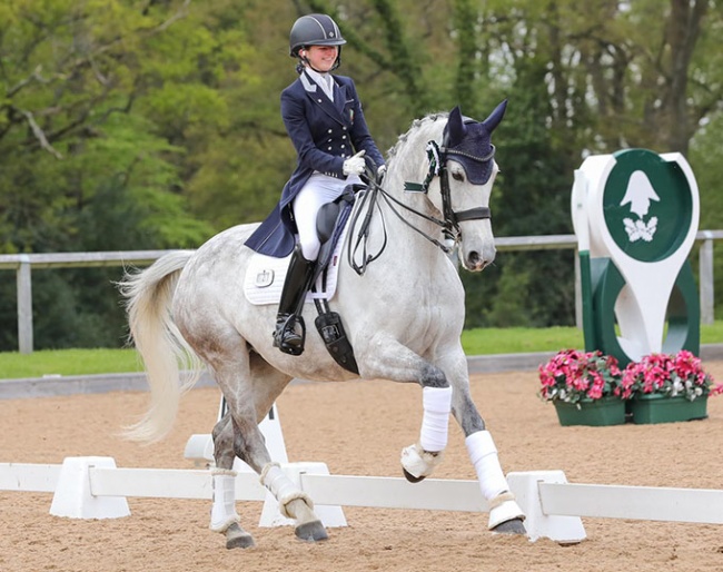 Vicky Campbell and Habouche at the 2021 CDI Wellington Heckfield :: Photo © Lottie Elizabeth 