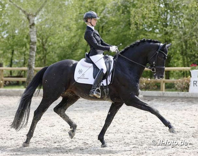 Eva Möller and Global Player at the 2021 Lienen Bundeschampionate qualifier :: Photo © LL-foto