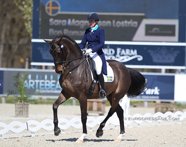 Sara Magnusson Lostria and Bon Romantic at their Grand Prix debut at the 2021 CDI Opglabbeek :: Photo © Astrid Appels