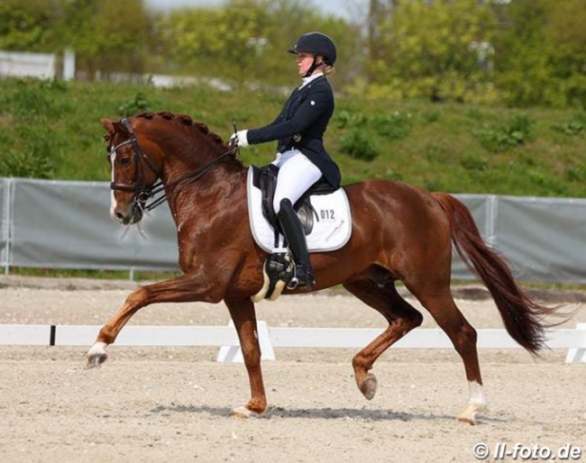 Emma Kanerva and Eye Catcher at the 2021 CDI Verden, competing in the national classes :: Photo © LL-foto