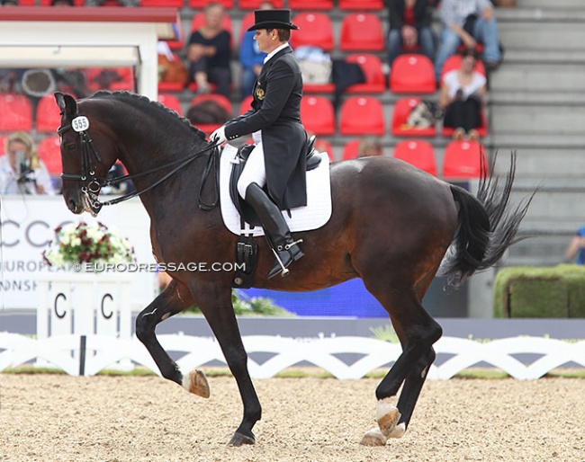 Tatiana Dorofeeva and Khorovod at the 2013 European Dressage Championships in Herning :: Photo © Astrid Appels