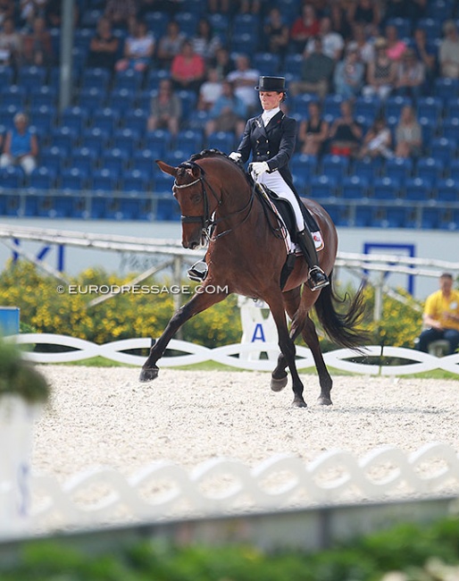 Fanny Verliefden and Annarico at the 2015 European Dressage Championships in Aachen :: Photo © Astrid Appels