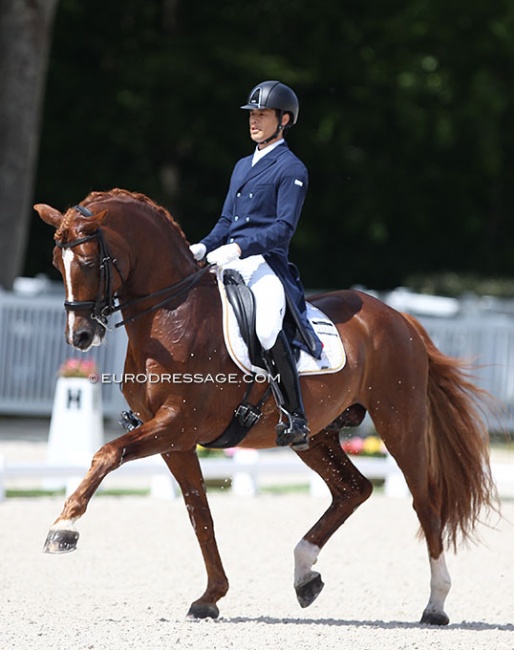 Kazuki Sado on Ludwig der Sonnenkonig at the 2021 CDIO Compiegne :: Photo © Astrid Appels