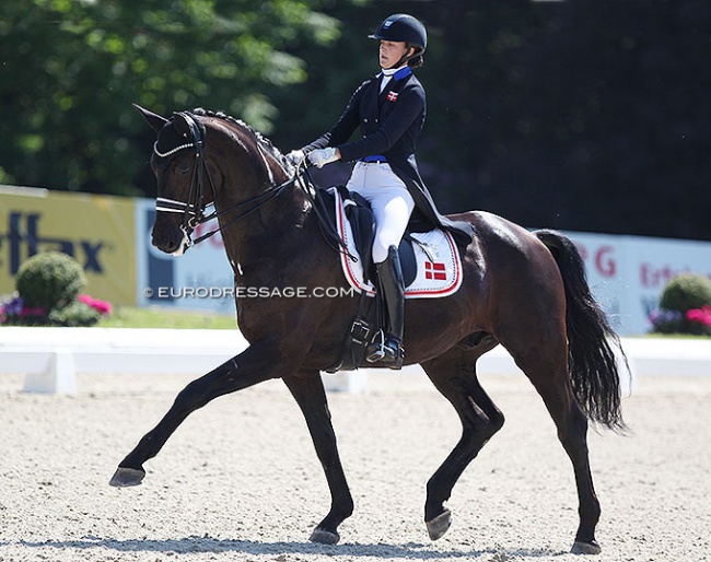Sophia Ludvigsen and Blue Hors Quintana at the 2021 CDIO-J Hagen :: Photo © Astrid Appels