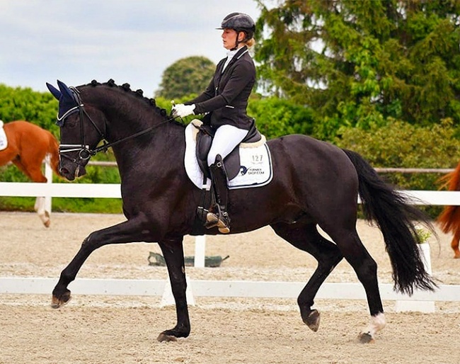 Lisa Horler and Define Dynamic at the 2021 Bundeschampionate qualifier in Illertissen :: Photo © Fotoagentur Dill