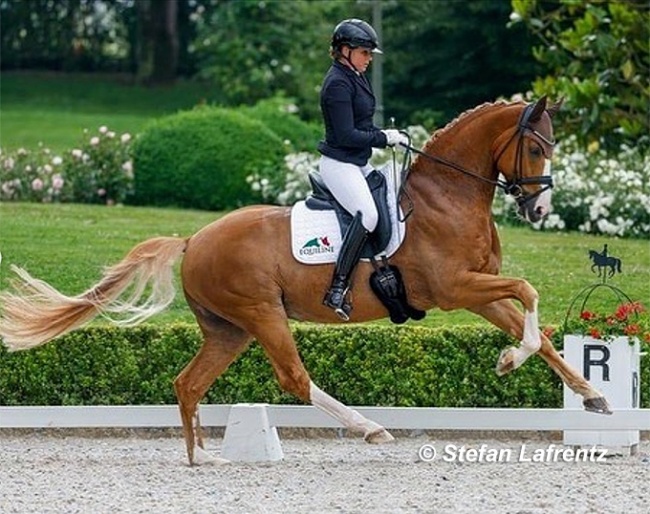Dorothee Schneider and Borghese MT at the 2021 Kronberg Bundeschampionate qualifier :: Photo © Stefan Lafrentz