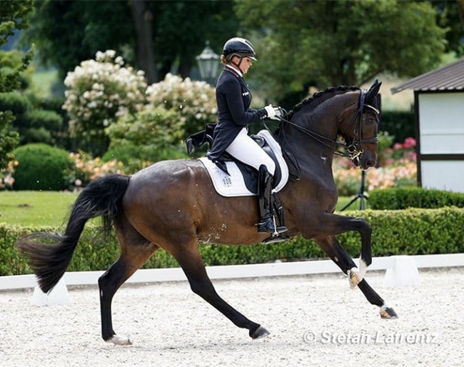 Dorothee Schneider and Showtime at the second German Olympic selection trial in Kronberg :: Photo © Stefan Lafrentz