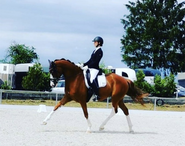 Roxana Mohr and Quick Decision at the Bundeschampionate qualifier held at Fröhnerhof