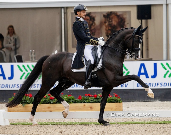Edward Gal and Total U.S. in the Grand Prix Special at the 2021 Dutch Dressage Championships in Ermelo :: Photo © Dirk Caremans