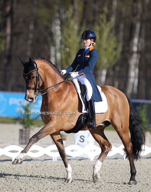 Anne Meulendijks and Avanti at the 2021 CDI Opglabbeek :: Photo © Astrid Appels