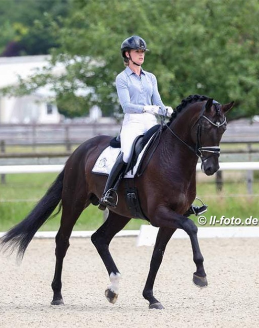 Dutch Dinja van Liere aboard Iron Spring Farm (USA)'s German stallion Lowlands at the first German WCYH selection trial :: Photo © Astrid Appels