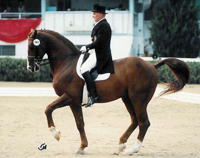 Eicke von Veltheim competing Grundstein at Dressage at Devon :: Photo © Terri Miller