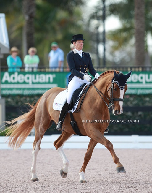 Patricia Koschel and Leuchtfeuer DE at the 2015 CDI Wellington :: Photo © Astrid Appels