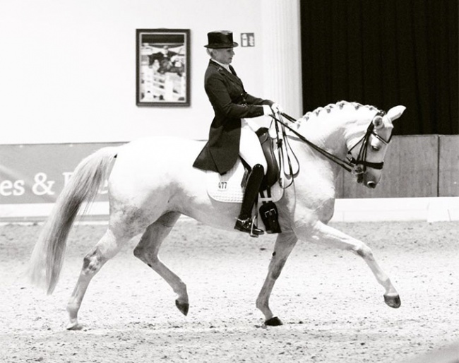 Ilka Boening and Weisse Rose competing in Ankum :: Photo private