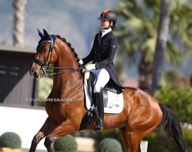 Daria Maria Paliciuc and Everton at the 2021 European Young Riders Championships :: Photo © Astrid Appels