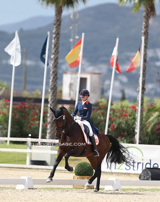 Evi van Rooij and Don Tango B at the 2021 European Junior Riders Championships :: Photo © Astrid Appels