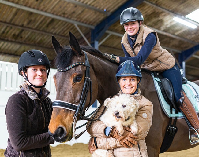 Anna Ross and her team at Elite Dressage in Devon, U.K.