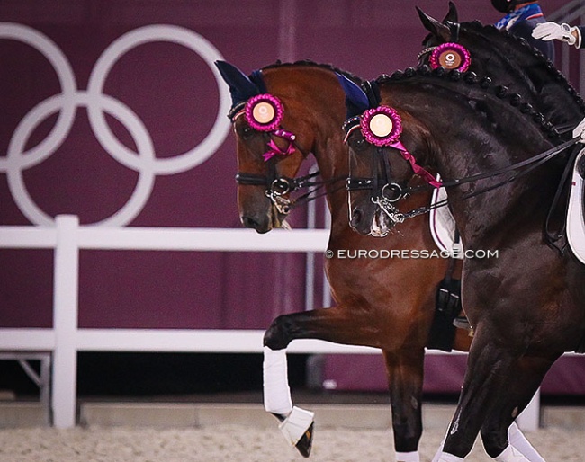 U.S. Tea Horses in the lap of honour for the team medal prize giving at the 2021 Olympic Games :: Photo © Astrid Appels