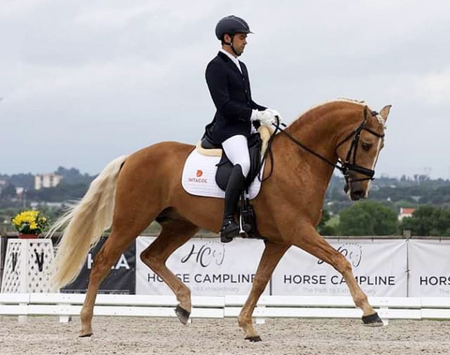 Luis Fernandes on Lavrador at the 2021 CDI Abrantes :: Photo © Rui Pedro Godinho