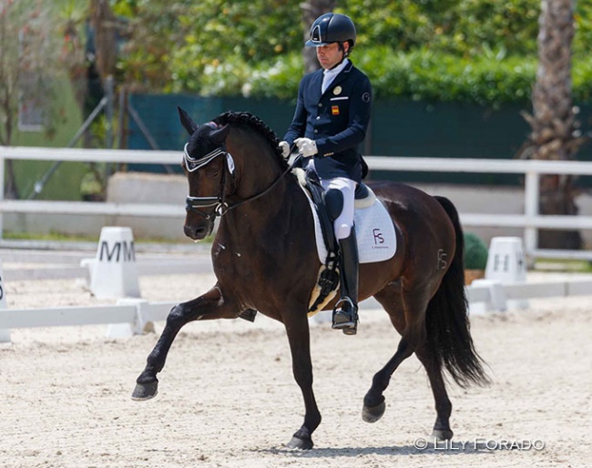 Norteno FS, owned by Yeguada Arroyomonte and ridden by Alberto Garcia-Briñon :: Photo © Lily Forado