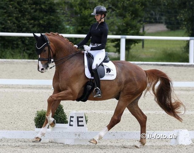 Kira Soddemannn and Senor Charming at the German WCYH selection trial in Warendorf :: Photo © LL-foto