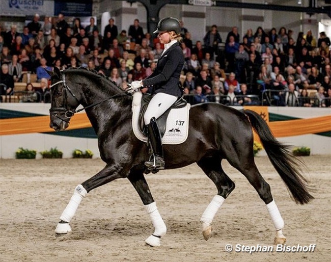 Laura Strobel and Bourani at the 2020 Trakehner Stallion Licensing :: Photo © Stephan Bischoff