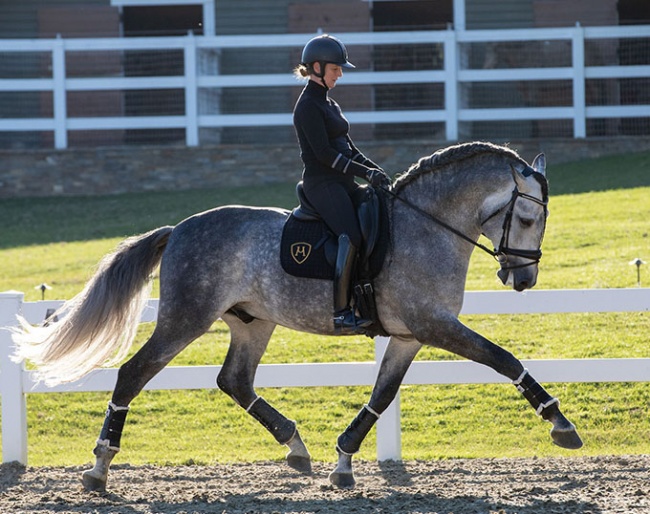 US Olympian Sabine Schut-Kery and Tornado de Centurion :: Photo © Terri Miller