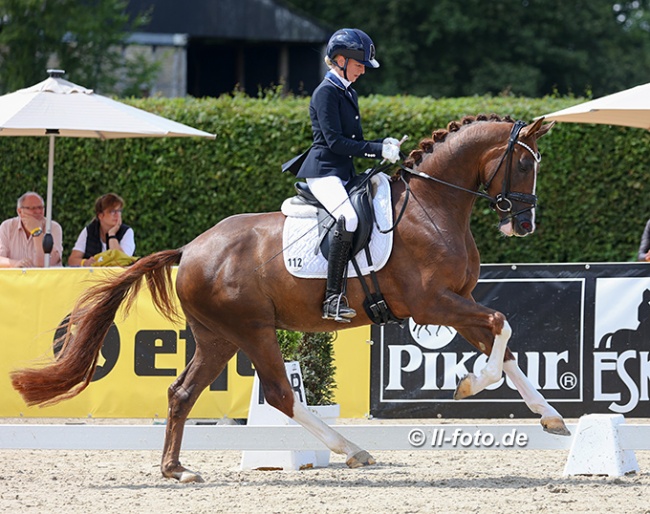 Mareike Mimberg qualified no less than three horses for the riding horse classes at the 2021 Bundeschampionate. Here she is riding Baileys on Ice :: Photo © LL-foto