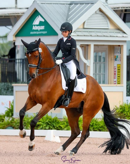 Brooke Mancusi and Grand Amour at the 2021 CDI Wellington :: Photo © Sue Stickle