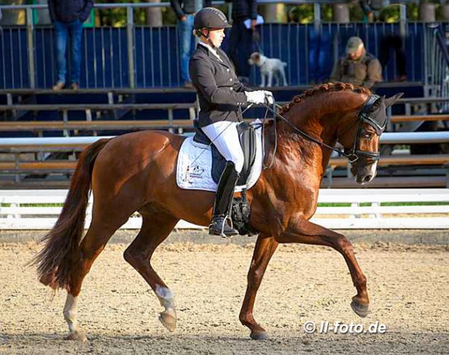 Ann-Christin Wienkamp and Velvet at the 2019 Bundeschampionate :: Photo © LL-foto