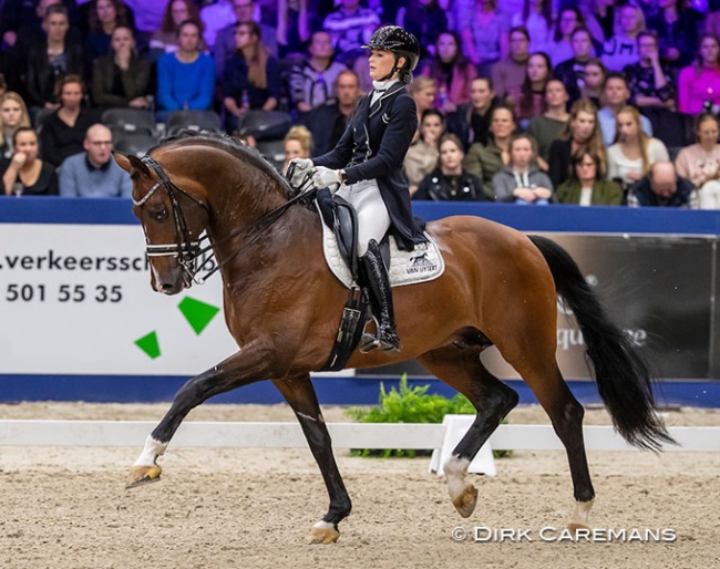 Dinja van Liere and Geniaal at the 2020 KWPN Stallion Licensing :: Photo © Dirk Caremans