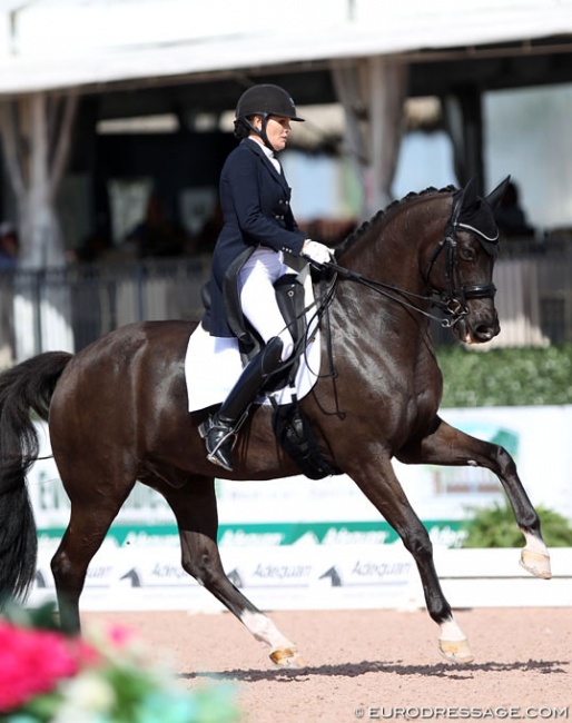 Ashley Holzer and Eastwood at the 2020 CDI Wellington :: Photo © Astrid Appels