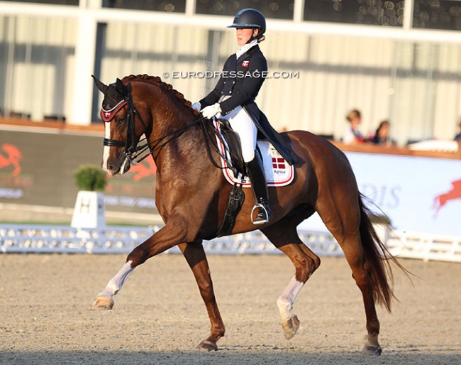 Kathrine With Petersen and Hjorths Rapsody in Blue at the 2021 European Under 25 Championships in Hagen :: Photo © Astrid Appels